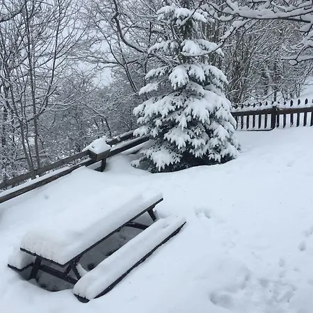 Au Pied Du Télécabine De Pra Loup Les Molanes Appartement Les Blaues